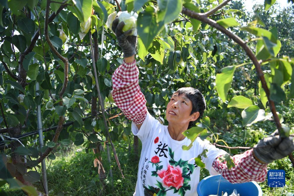 手机购彩app哪个好